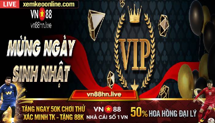 Sinh nhat VIP 1