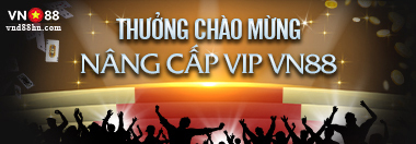 Nang cap VIP 1