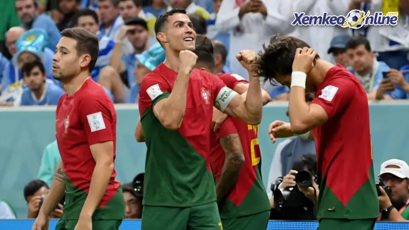 HLV Roberto Martinez xác nhận ĐT Bồ Đào Nha sẽ đóng quân tại Miami